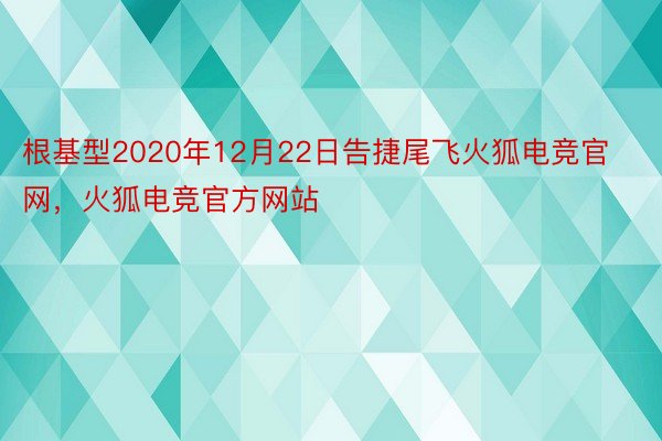 根基型2020年12月22日告捷尾飞火狐电竞官网，火狐电竞官方网站