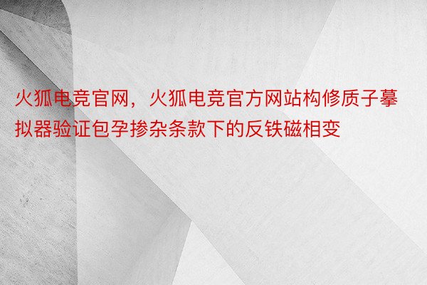 火狐电竞官网，火狐电竞官方网站构修质子摹拟器验证包孕掺杂条款下的反铁磁相变