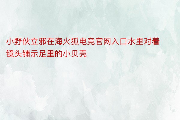 小野伙立邪在海火狐电竞官网入口水里对着镜头铺示足里的小贝壳